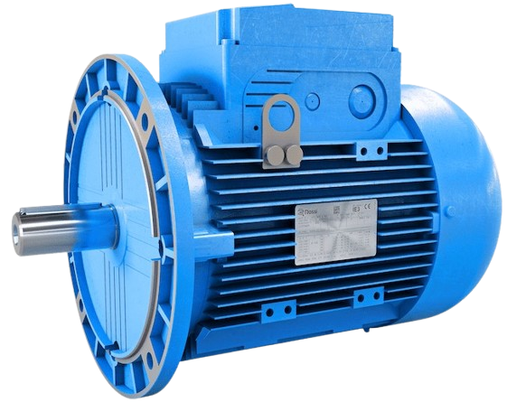 tx-removebg-preview-1