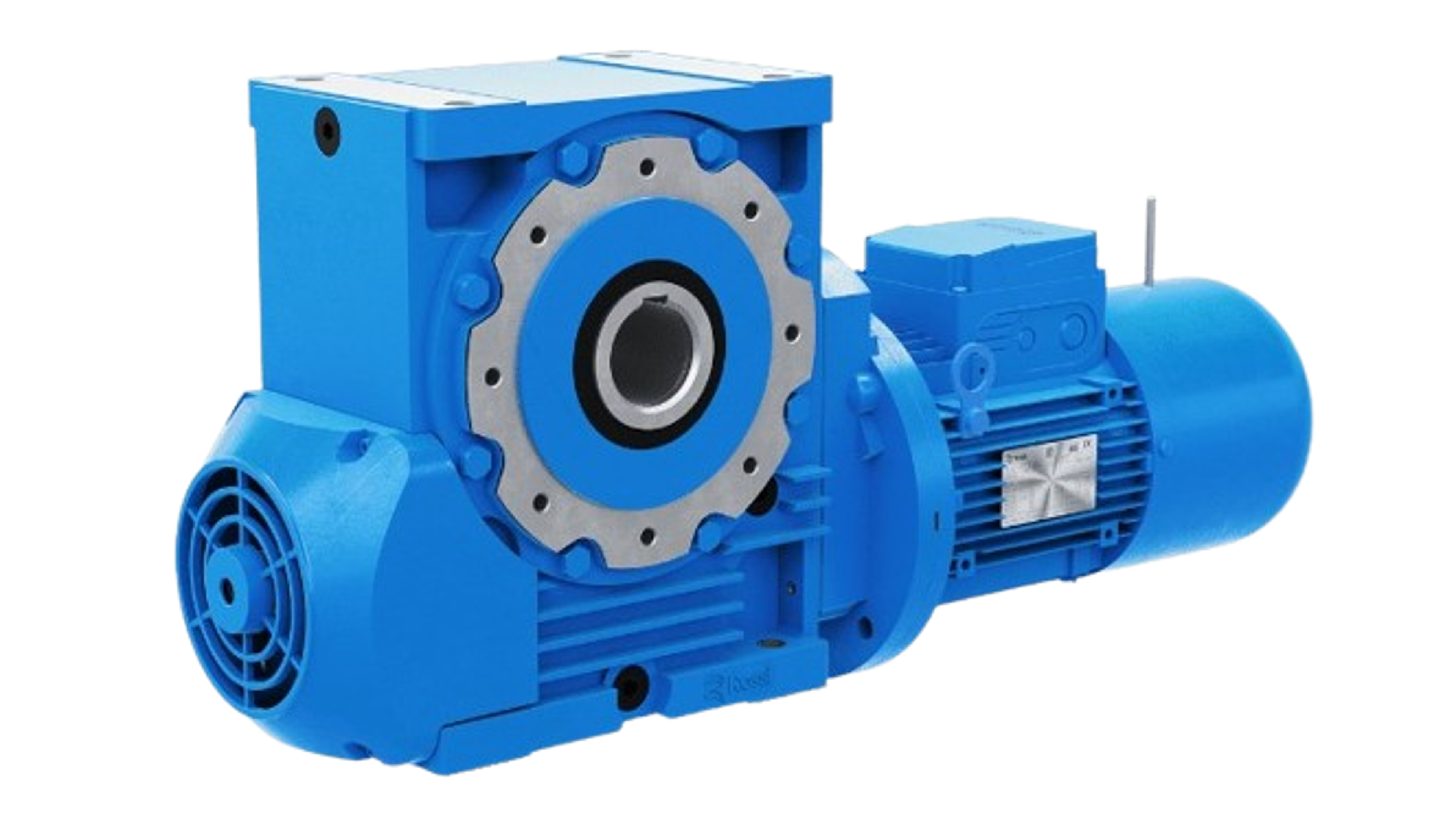 wormwielkast-1-removebg-preview-1